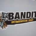 Bandit 20XP Self Propelled